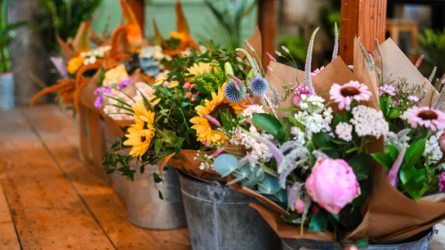 Siop Botanica (Lampeter) local listing