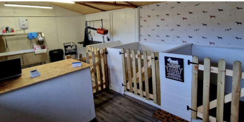Pob Pawen Dog Grooming local listing