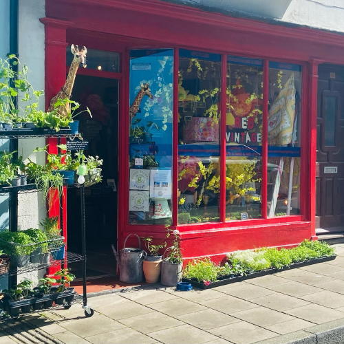 Red Vintage local listing